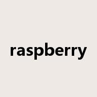 raspberry是什么意思