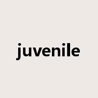 juvenile是什么意思