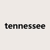 tennessee是什么意思