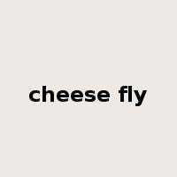 cheese fly是什么意思