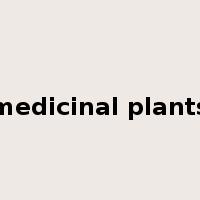 medicinal plants是什么意思