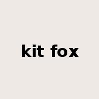 kit fox是什么意思