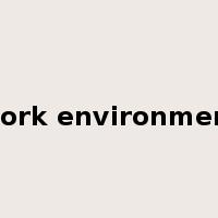 work environment是什么意思