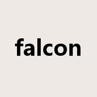 falcon是什么意思