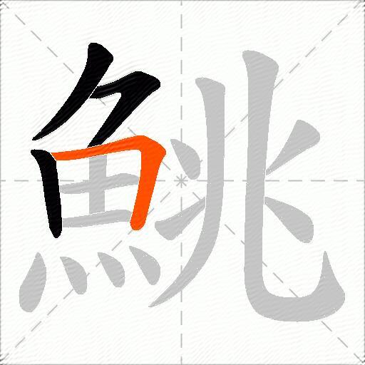 鮡