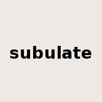 subulate