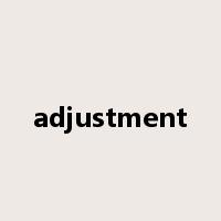 adjustment是什么意思