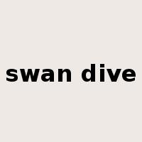 swan dive是什么意思