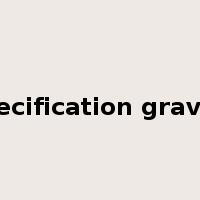 specification gravity