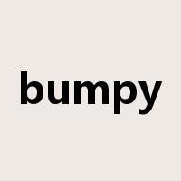 bumpy是什么意思