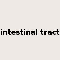 intestinal tract是什么意思