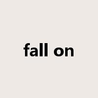 fall on是什么意思