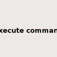 execute command是什么意思