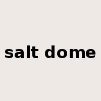 salt dome是什么意思