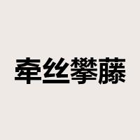 牵丝攀藤是什么意思