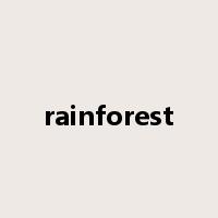 rainforest是什么意思