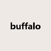 buffalo是什么意思