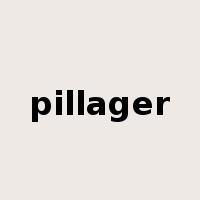 pillager是什么意思