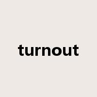 turnout是什么意思