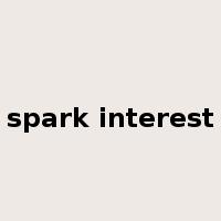 spark interest是什么意思