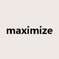 maximize是什么意思