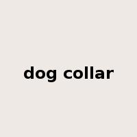 dog collar是什么意思