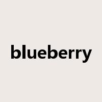 blueberry是什么意思