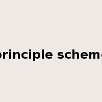 principle scheme是什么意思