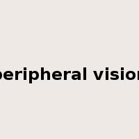 peripheral vision是什么意思