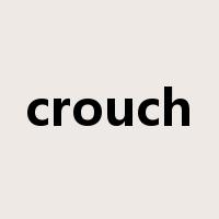 crouch是什么意思