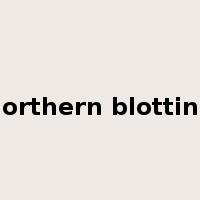 northern blotting是什么意思