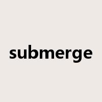 submerge是什么意思