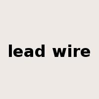 lead wire是什么意思