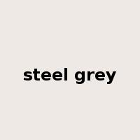 steel grey是什么意思