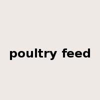 poultry feed是什么意思