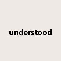 understood是什么意思