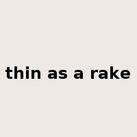 thin as a rake是什么意思