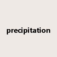 precipitation是什么意思