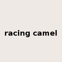 racing camel是什么意思