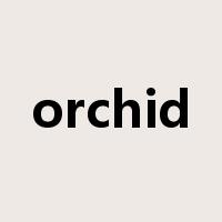 orchid是什么意思