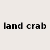 land crab是什么意思