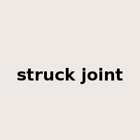 struck joint是什么意思