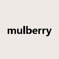 mulberry是什么意思