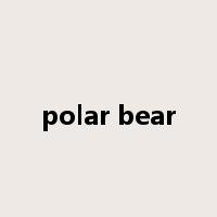 polar bear是什么意思