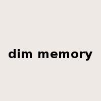 dim memory是什么意思