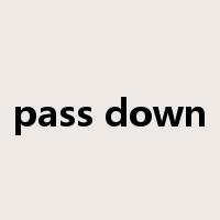 pass down是什么意思