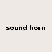 sound horn是什么意思