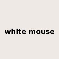 white mouse是什么意思