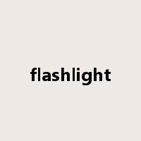 flashlight是什么意思