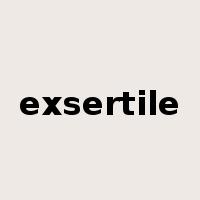 exsertile是什么意思